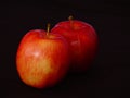 Two Gala Apples