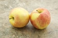 Two Gala Apples Royalty Free Stock Photo