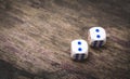 Two game dice number double two Royalty Free Stock Photo