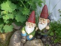Two funny garden gnomes with red hats Royalty Free Stock Photo