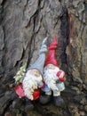 Two Christmas garden gnomes in the forest, in front of an old tree trunk Royalty Free Stock Photo