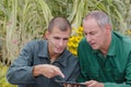 two gardeners looking at clipboard Royalty Free Stock Photo