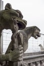 Two Gargoyles At Notre Dame Royalty Free Stock Photo