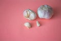 Two garlic bulbs and cloves isolated on soft pink background Royalty Free Stock Photo