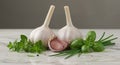 Two Garlic Bulbs with Fresh Basil, Chives, and Oregano on Marble Royalty Free Stock Photo