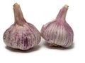 Two garlic bulbs isolated on white background Royalty Free Stock Photo