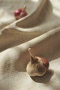 Two garlic bulbs on a linen tablecloth Royalty Free Stock Photo