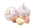 Two garlic bulbs and peeled cloves isolated on white background Royalty Free Stock Photo