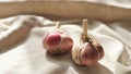 Two garlic bulbs on a vintage linen tablecloth Royalty Free Stock Photo