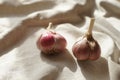 Two garlic bulbs on a vintage linen tablecloth Royalty Free Stock Photo