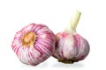 Two garlic bulbs Royalty Free Stock Photo