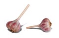 Two garlic bulbs on white background, isolated, closeup Royalty Free Stock Photo