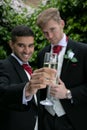 Gay couple at wedding reception toast being married