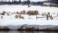 Two Geese Flying in the Country Royalty Free Stock Photo