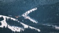 Two Geese Flying Near Forest in Winter Royalty Free Stock Photo