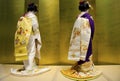 Two geishas with a golden background Royalty Free Stock Photo