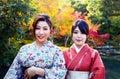 Two geishas in a zen garden in Kyoto Royalty Free Stock Photo