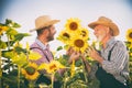 Two generation of farmers in sunflower field