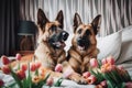 two german shepherd dogs laying on a bed with tulips