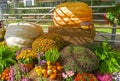 Two giant pumpkins Royalty Free Stock Photo