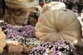 Two giant pumpkins at the traditional autumn exhibition in the Aptekarsky Ogorod branch of the Moscow State University Botanical Royalty Free Stock Photo