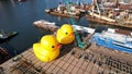 two giant Rubber duckie in hong kong