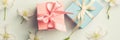 Two gifts surrounded by Apple white flowers. blue and pink presents. gentle background top view