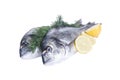 Two gilthead fishes with lemon Royalty Free Stock Photo