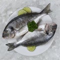 Two giltheads fish on a plate