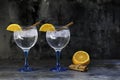 Two gin tonics on blue glass with cinnamon and orange Royalty Free Stock Photo