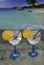 Two gin tonics on blue glass with cinnamon and orange vertical shot Royalty Free Stock Photo