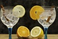 Two gin tonics on blue glass with lemon, orange and cinnamon Royalty Free Stock Photo