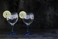 Two gin tonics Royalty Free Stock Photo