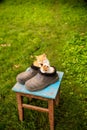 Two ginger kittens sitting in old black galoshes, close up, copy space