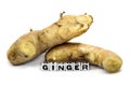 Two ginger roots with text Royalty Free Stock Photo