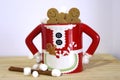 Two gingerbread cookies in a hot chocolate Mrs. Clause cute mug with marshmallows Royalty Free Stock Photo