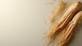 Two Ginseng Roots on a Light Background Royalty Free Stock Photo