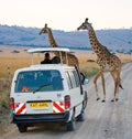 Two giraffes in savanna. Kenya. Tanzania. East Africa. Royalty Free Stock Photo