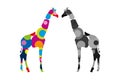 Two giraffes standing face to face. Colorful and gray Safari animals. Royalty Free Stock Photo