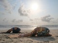 Two girl practice child yoga pose at seaside at sunset