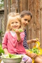 Two girl sisters holding a lot of green peas pods in their hands near a bowl full of ripe pea pods and smiling