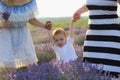 girlfriends with a child in a lavender field walk and enjoy the aroma