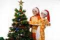 Two girls at the Christmas tree looked into the frame Royalty Free Stock Photo