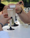 Two girls clink glasses of champagne or prosecco on a beautiful summer terrace garden