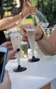 Two girls clink glasses of champagne or prosecco on a beautiful summer terrace garden