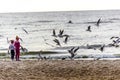 Two Girls feeding seagulls. Royalty Free Stock Photo