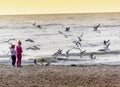 Two Girls feeding seagulls. Royalty Free Stock Photo