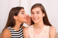 Two girls gossip on gray background Royalty Free Stock Photo