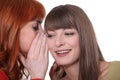 Two girls gossiping Royalty Free Stock Photo