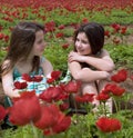 Two girls in a red field Royalty Free Stock Photo